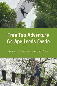 Image result for Go Ape! Leeds Castle