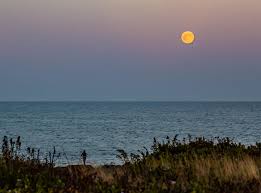 Image result for Bideford and District Angling Club