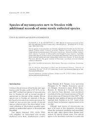 Attēlu rezultāti vaicājumam “Symphytocarpus impexus sessile”
