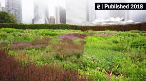 Image result for Piet Oudolf