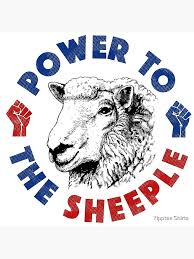 Image result for sheeple