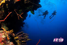 Image result for innerspace divers