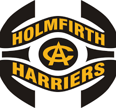 Image result for Holmfirth Cc