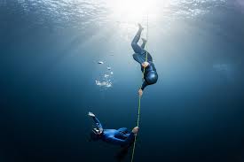 Image result for Duchy Divers