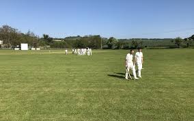 Image result for Sibton Park Cricket Club