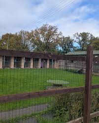 Image result for Wythall Cc