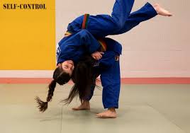 Image result for Glossop Judo Club