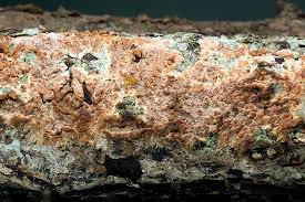 Attēlu rezultāti vaicājumam “Corticium roseum”