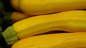 Attēlu rezultāti vaicājumam “Cucurbita pepo fruit”