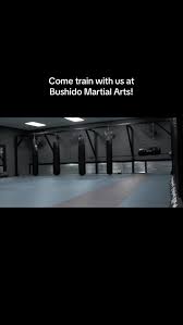 Image result for Villatoro Bushido Martial Arts