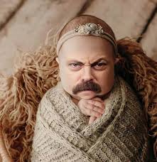 Image result for funniest picture ever