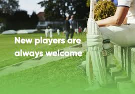 Image result for Bridport Cricket Club