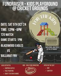 Image result for Blackwood Town Cricket Club
