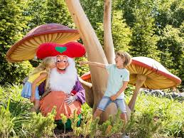 Image result for kabouter koos spee