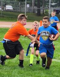 Image result for Hedingham Hawks Youth Football Club