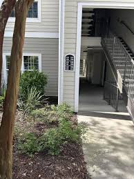 Image result for Basildon Sc