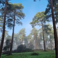 Image result for Fleet Ibex Field Archery Club