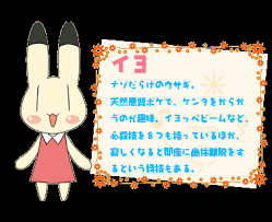 「青森あこ アニマル横町」の画像検索結果