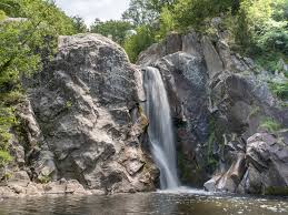 Attēlu rezultāti vaicājumam “Leporida”