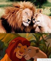 The Lion King-Regele leu - Pagina 12 Images?q=tbn:ANd9GcQlLj5a9eC6jl06oXWl6KlLWLmWATGomwlkMheq5Y3YCpomJ_tD0A