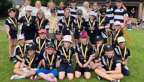 Image result for Hampton Hill Cricket Club