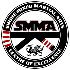 Image result for Martial Art Centre of Excellence