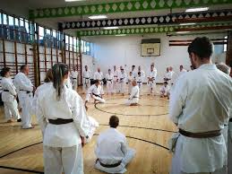 Image result for Haslemere Karate Club