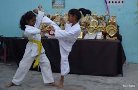 Image result for Phoenix Star Judo Club