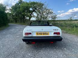 Image result for Pendelican White 1979 Jaguar