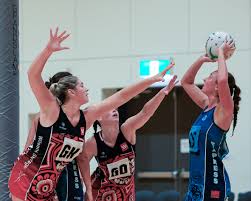 Image result for Southfields Netball Club