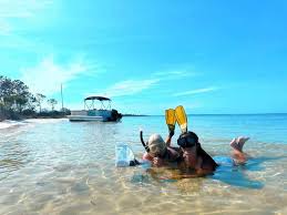 Image result for Belfairs Dolphins Snorkelling Club