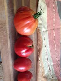 Afbeeldingsresultaat voor CDB tomato