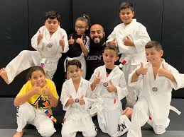 Image result for Skillz Martial Arts
