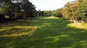 Image result for Bere Regis Skittles Club