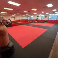 Image result for Invertay Taekwondo Club