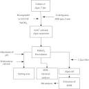 ScienceDirect.com - Water Research - The mechanisms of potassium ...