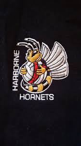 Image result for Hornets Netball Club