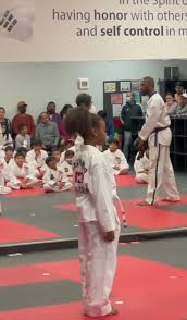 Image result for Vision Martial Arts
