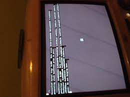 Image result for kernel panic snow leopard