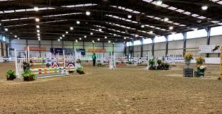 Image result for East Flegg Riding Club