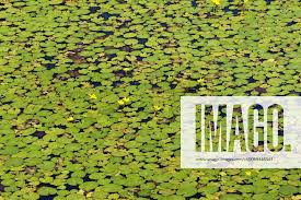 Image result for Seekanne