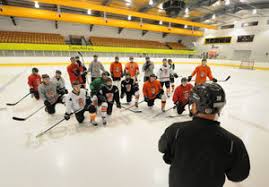 Image result for Telford Tigers