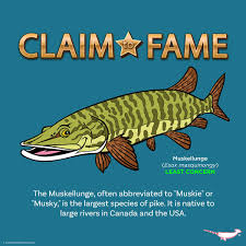 Image result for Esox masquinongy