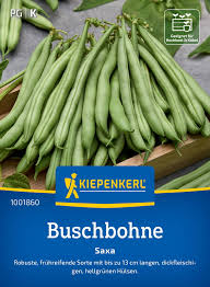 Image result for Buschbohnen