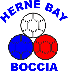 Image result for Elmbridge Boccia Club