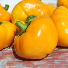 Afbeeldingsresultaat voor topepo giallo sweet pepper