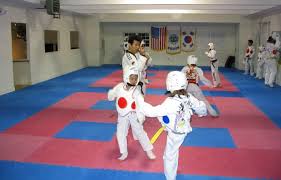 Image result for South Bank Taekwondo