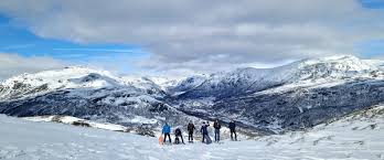 Image result for Tyneside Loipers