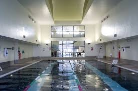 Image result for Stevenage Swimming Club