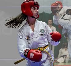 Image result for Reading Wtf Taekwondo